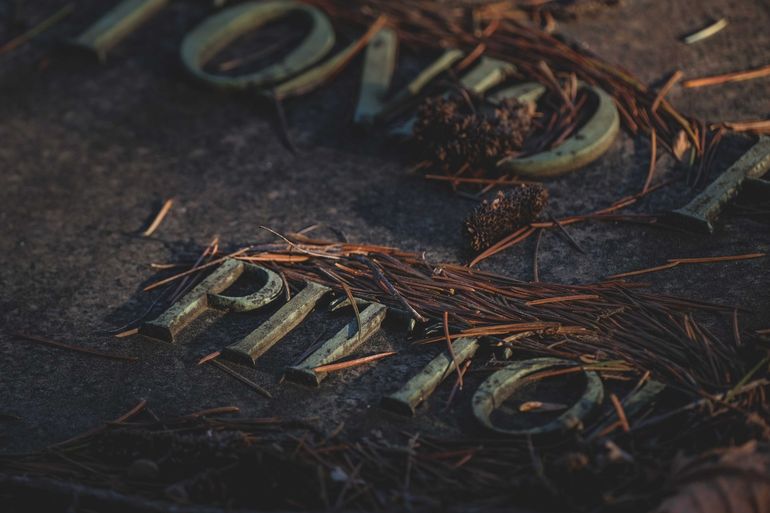 Close-up of a dark, weathered sign with gold lettering and pine needles scattered across it