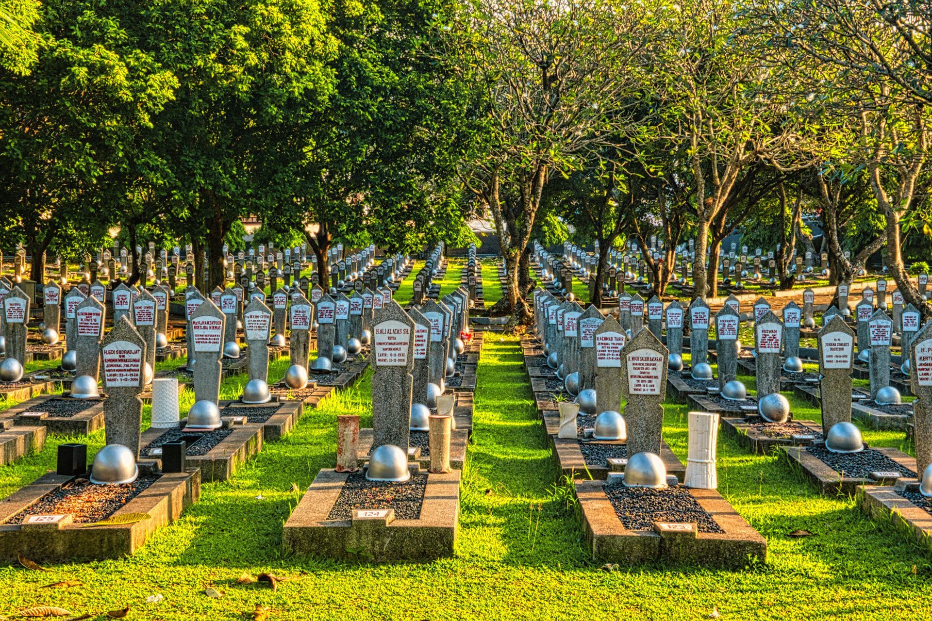 Rows of white gravestones in a sunny green cemetery with trees in the background