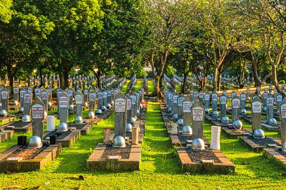 Rows of white gravestones in a sunny green cemetery under trees