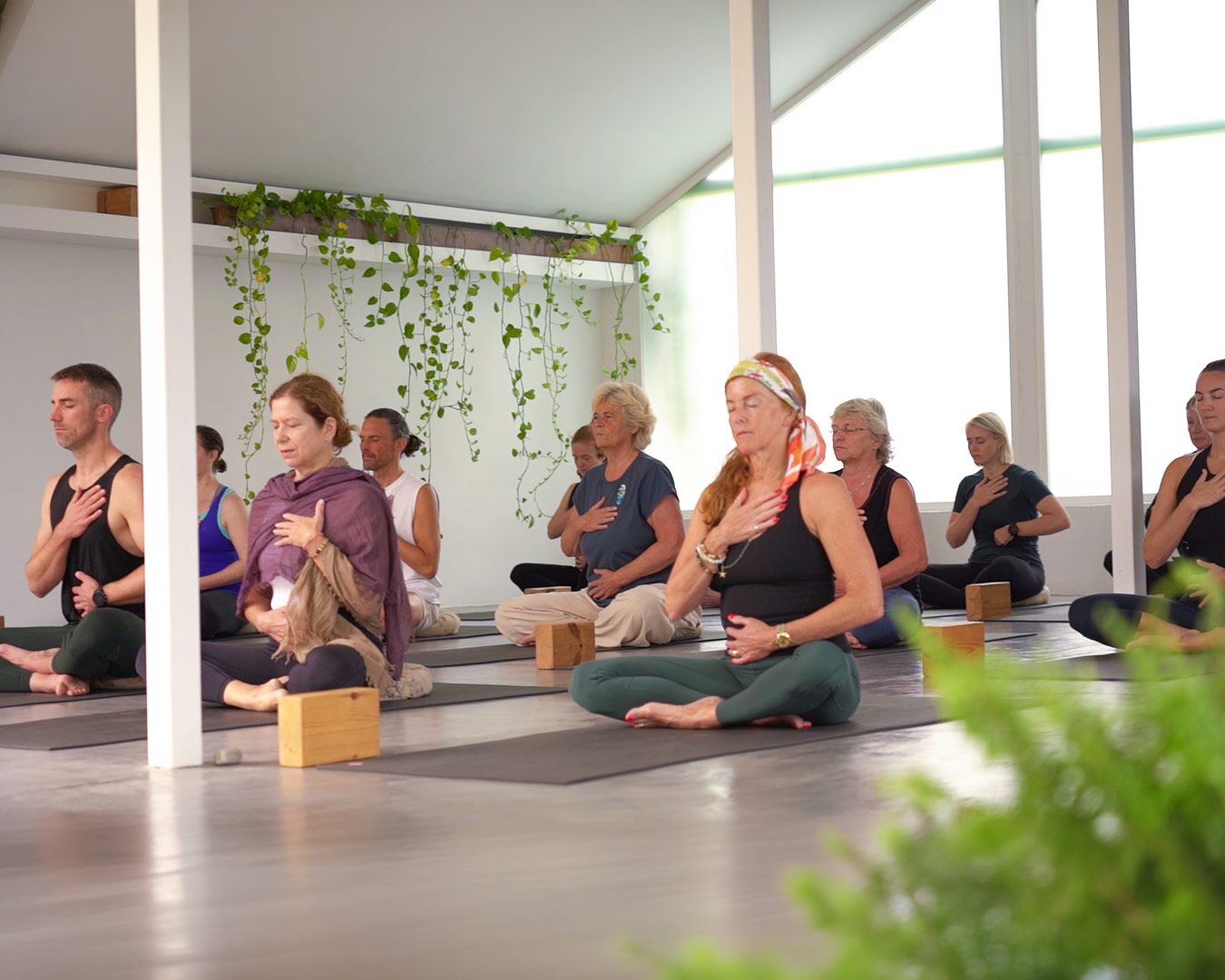 practice now app – start your yoga study online