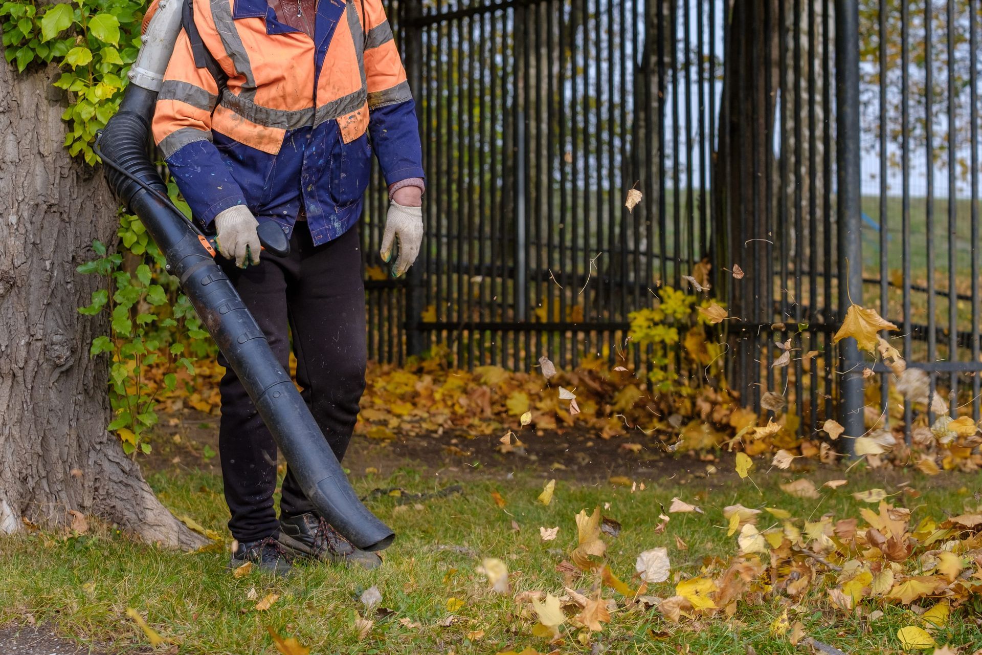 A worker in a high-visibility orange jacket uses a leaf blower to clear autumn leaves from the ground near a fence.