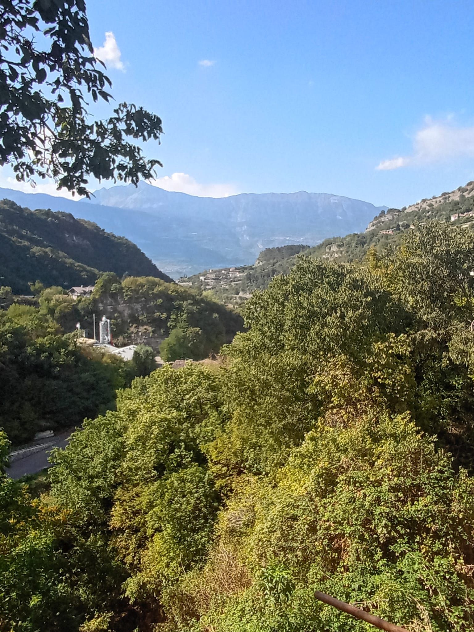 Alla genovesa