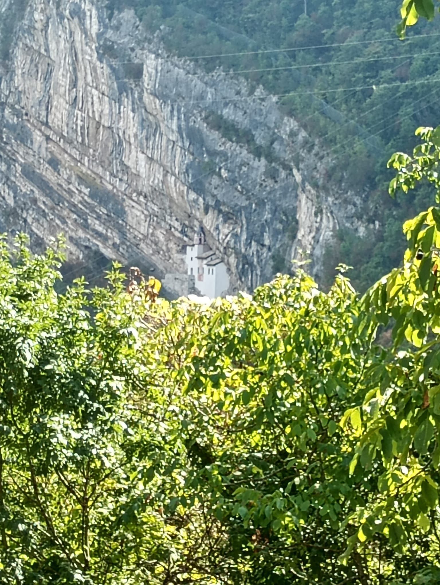 Alla genovesa