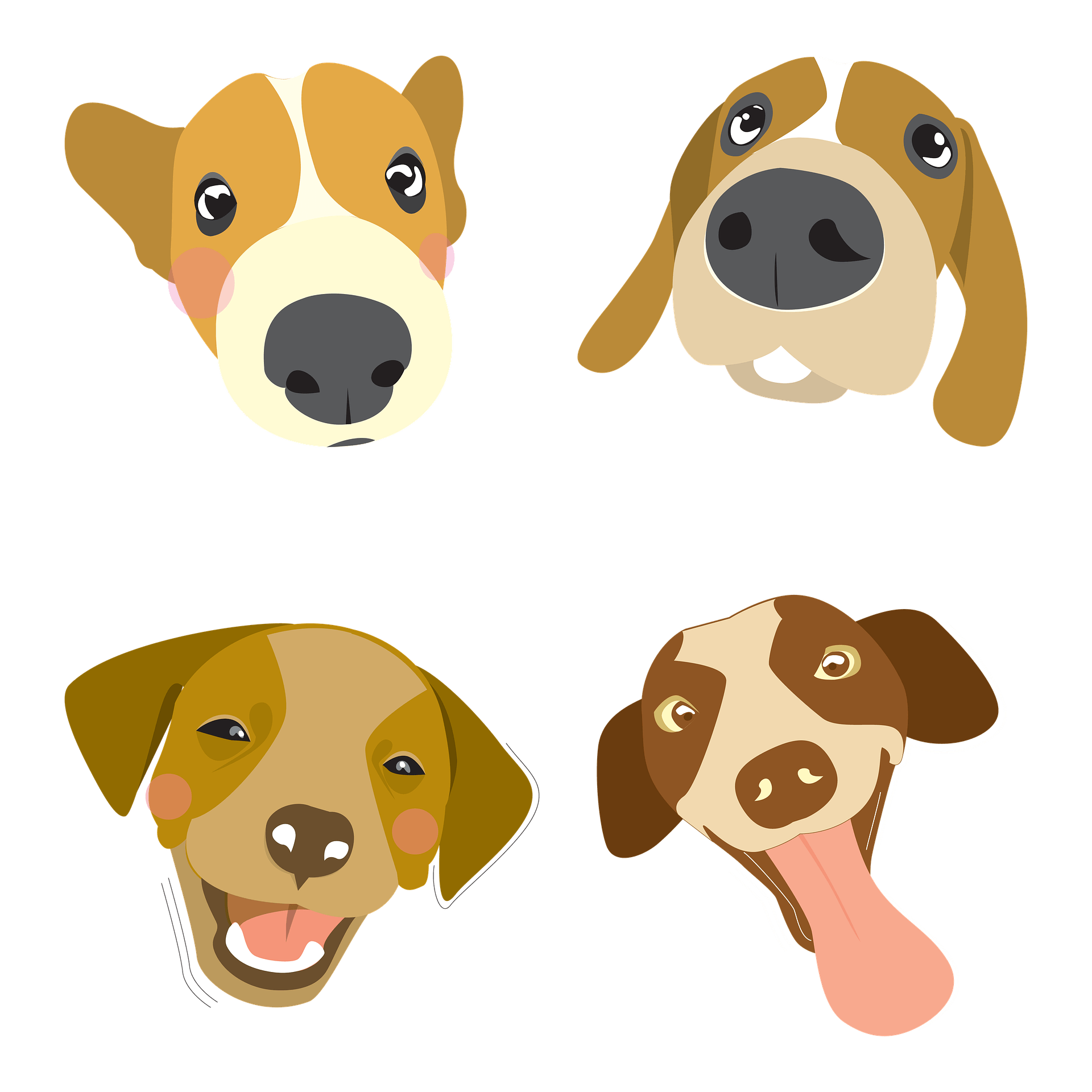 dogs