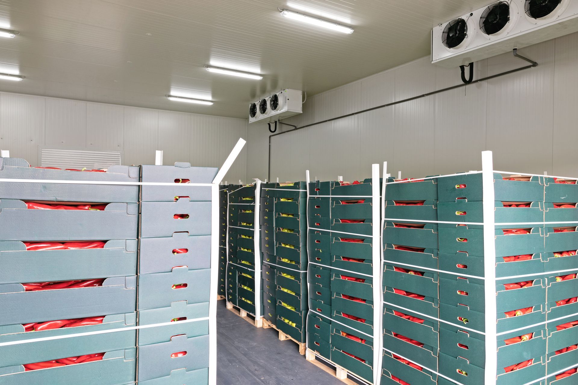 Boxes of Produce Stacked in a Cold Storage Room With Overhead Refrigeration Units — SealTite in Terranora, NSW