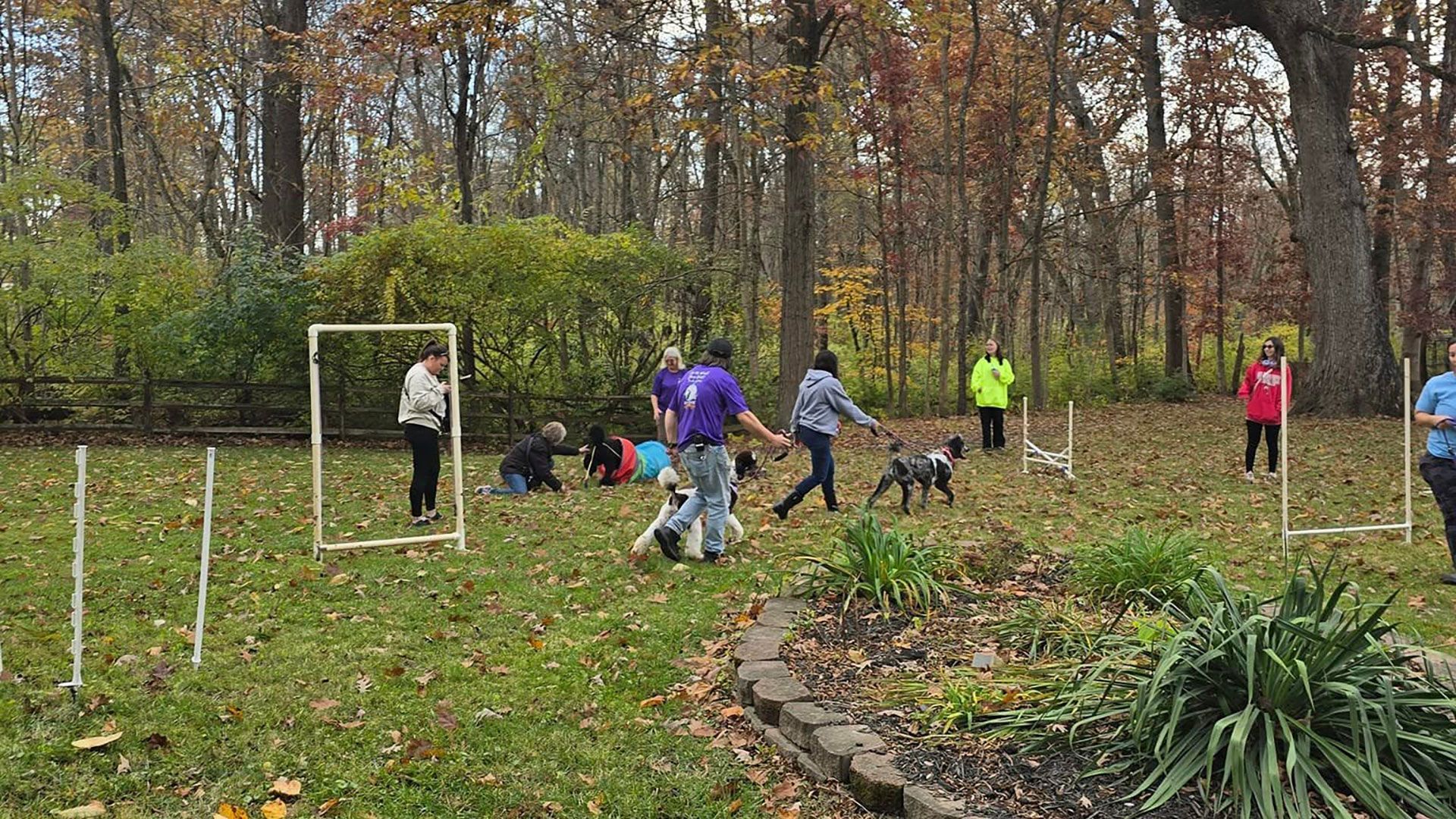 People gardening in a leafy park, planting and clearing beds near a path in autumn.