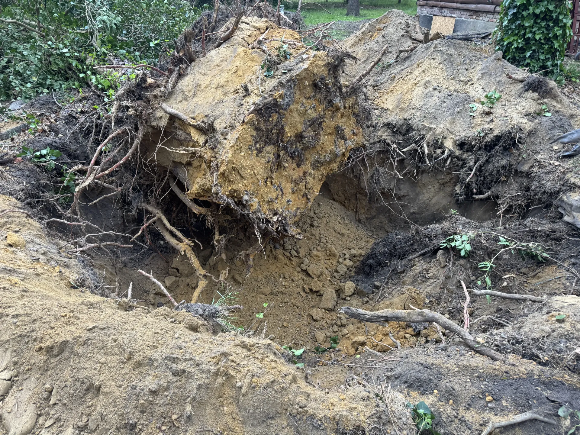 Eroded dirt bank with exposed roots beside a shallow muddy ditch