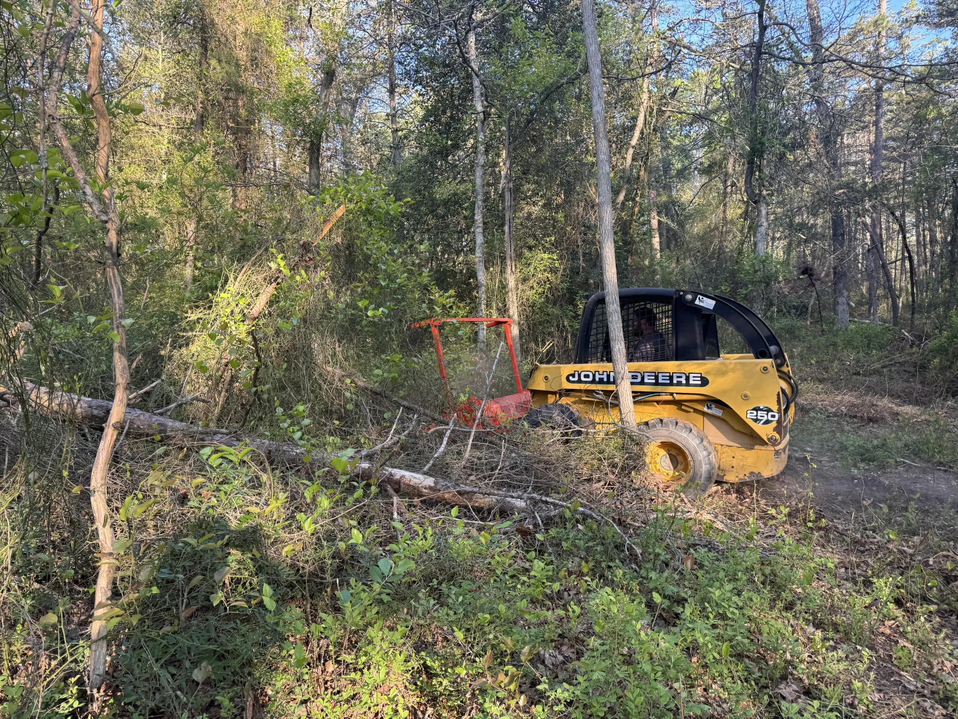 Yellow skid steer in a wooded area, clearing brush with a red attachment