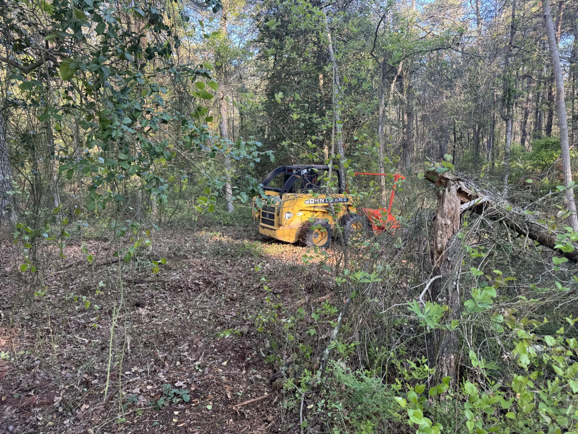 Yellow construction vehicle clearing brush in a wooded forest area