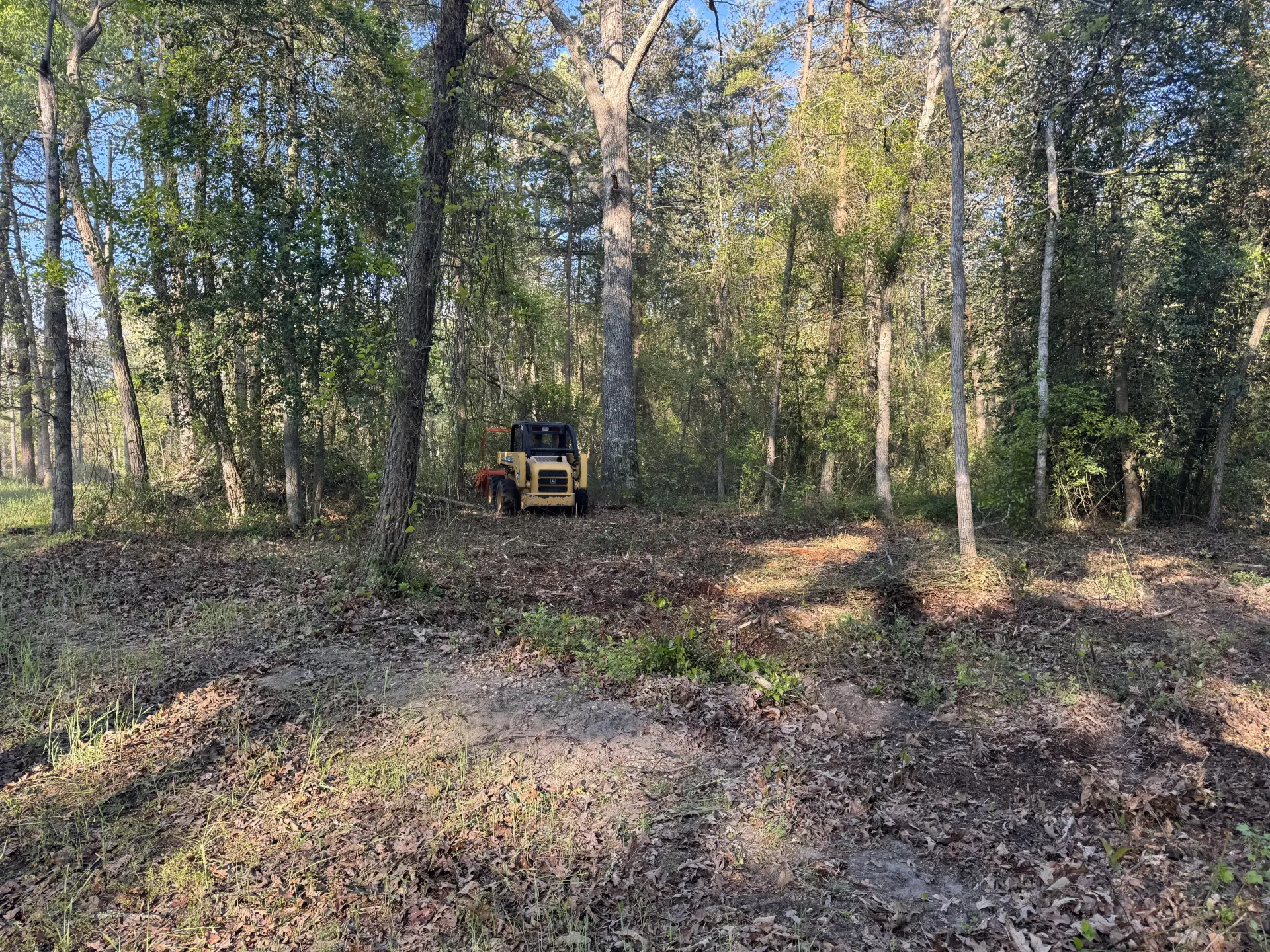 Yellow off-road vehicle in a wooded clearing with trees and leaf-covered ground.