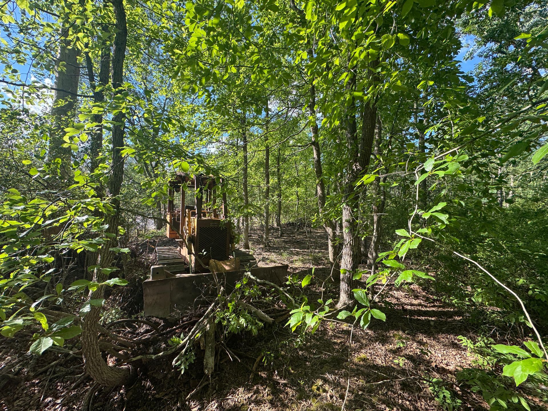 Wooded trail with a construction loader on a concrete platform in a sunny forest