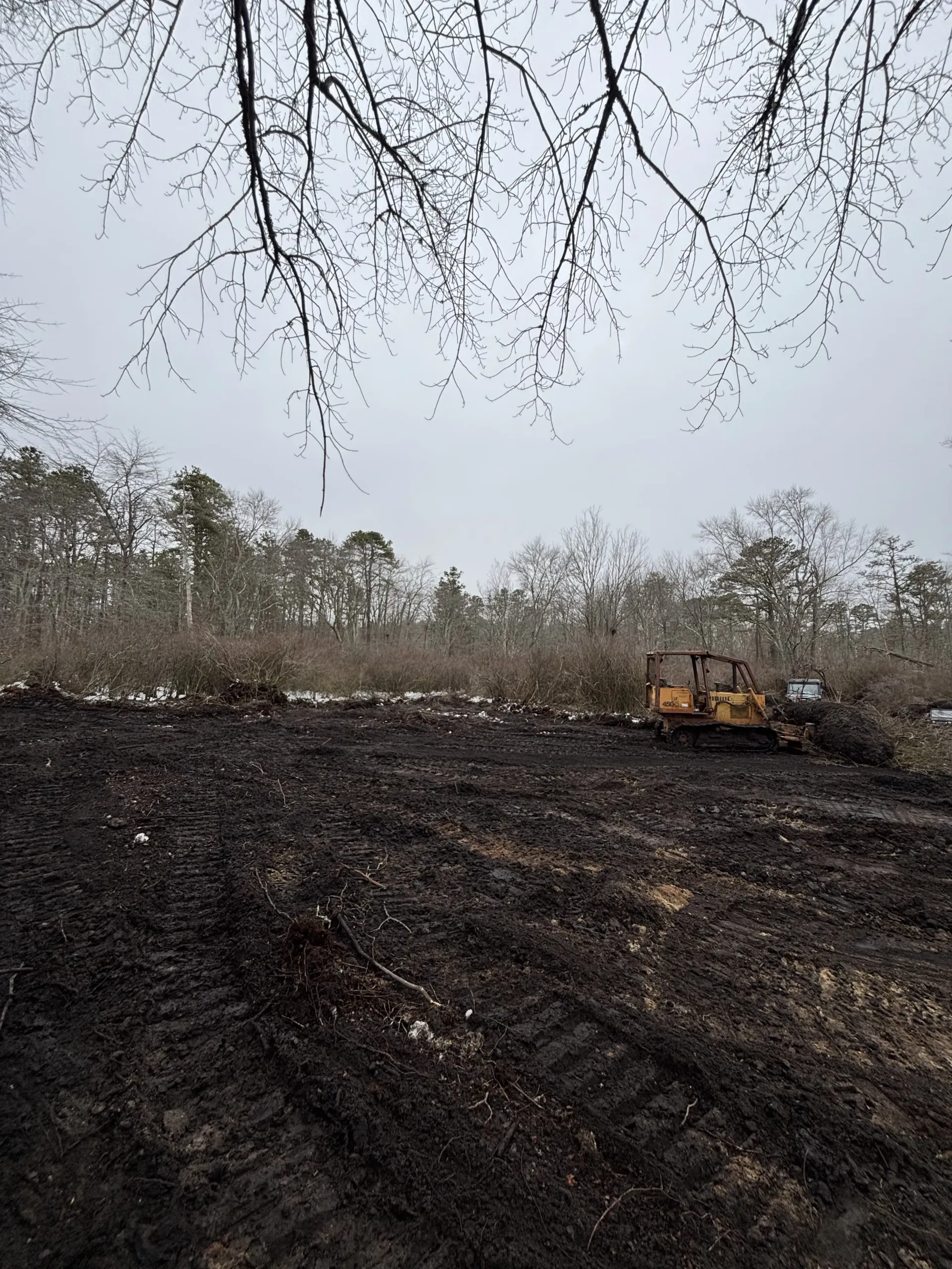 Charred field with a yellow excavator under an overcast sky, trees in the background
