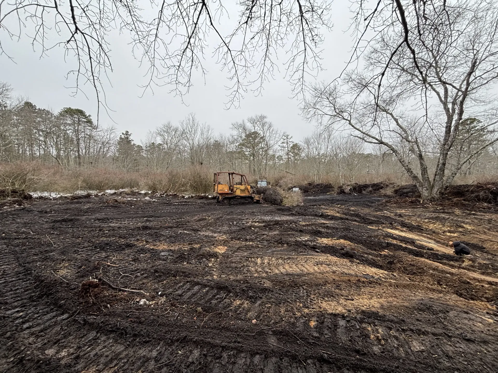 Charred field with a small bulldozer amid burnt ground and leafless trees under a gray sky