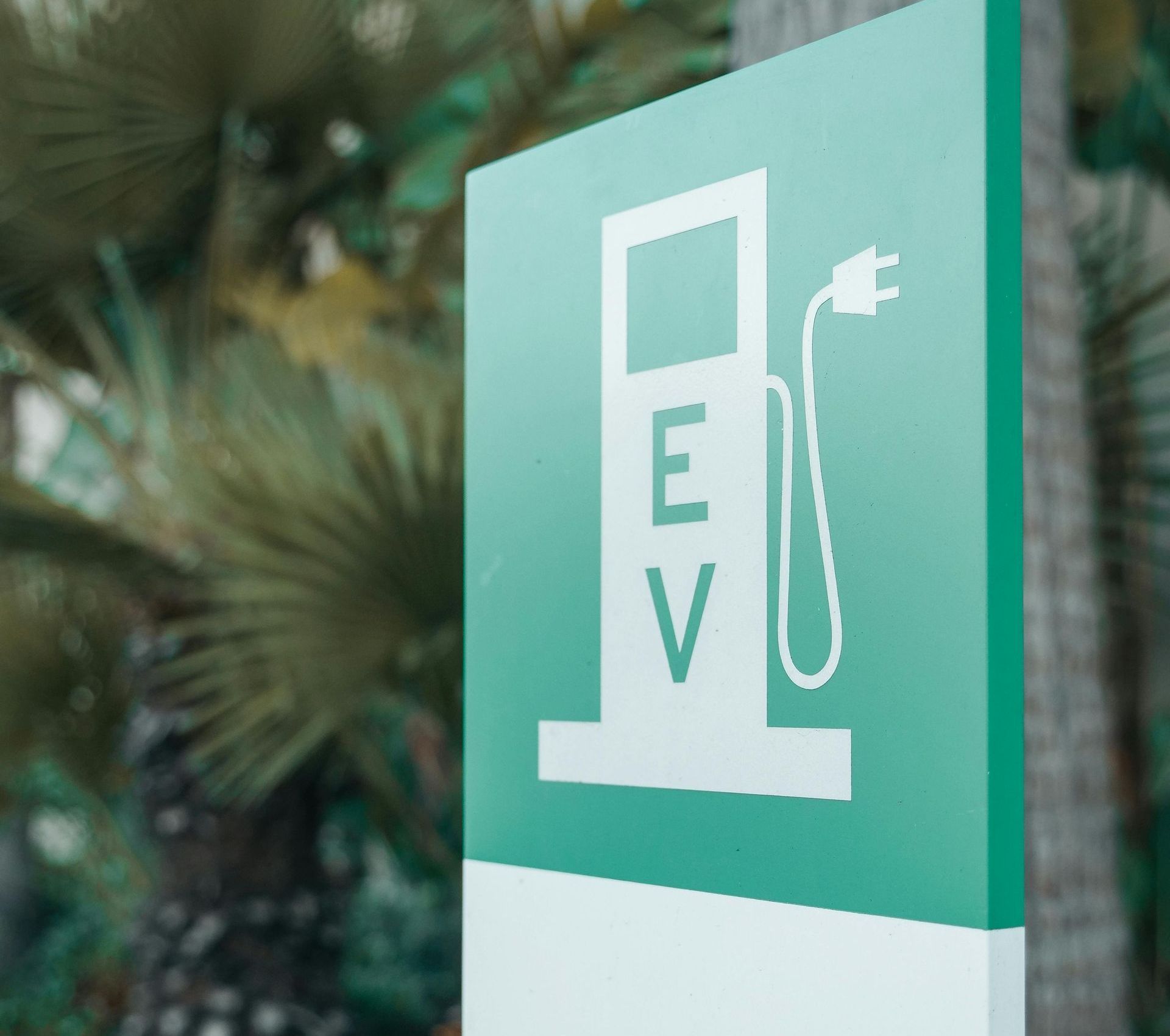 ESG, EV charger, and Green Energy: A sign for an electric vehicle charging station with a palm tree in the background