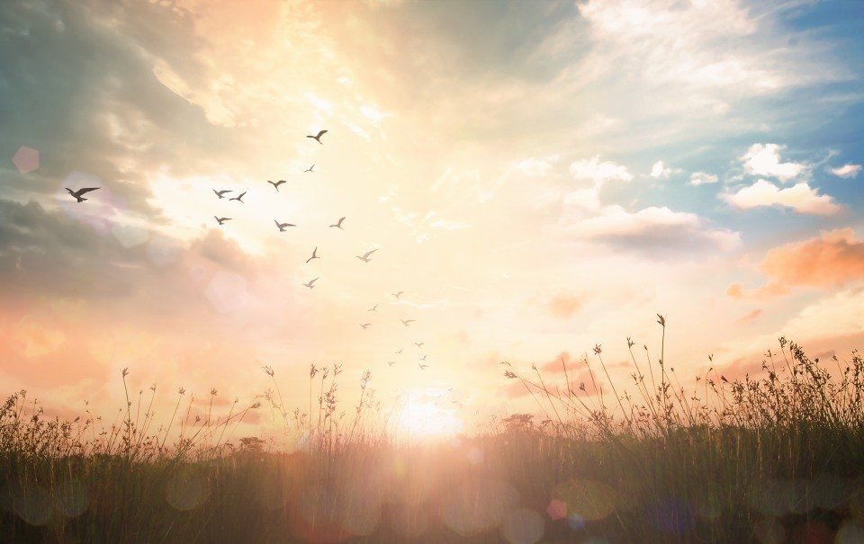 tramonto
