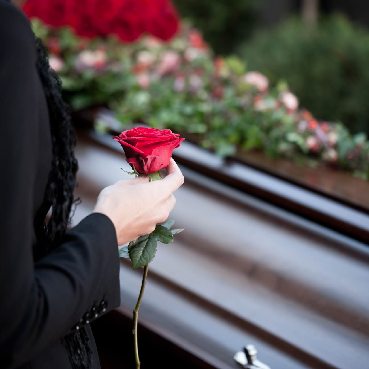 Person holding a red rose beside a casket at a funeral