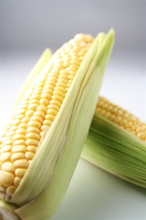 Corn Allergy-Allergy Testing Brisbane | Allergy Testing Gold Coast | Allergy Testing Sunshine Coast