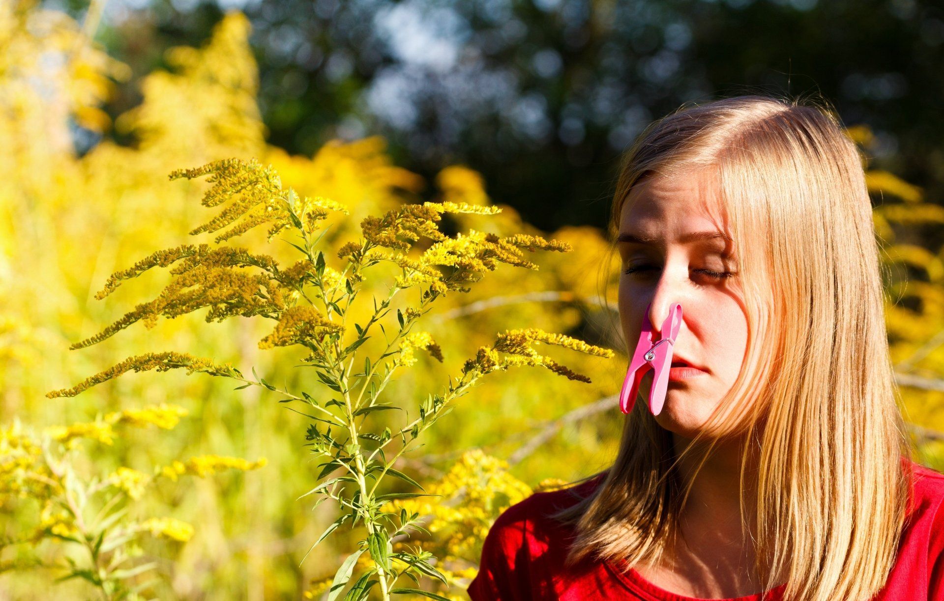 Hay Fever/Asthma | Allergy Testing Gold Coast | Allergy Testing Brisbane | Allergy Sunshine Coast