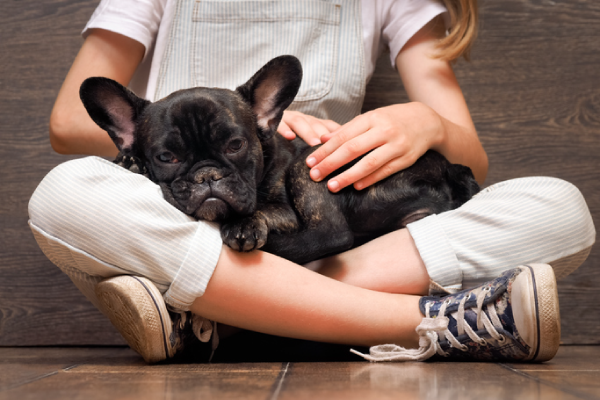 a little girl is sitting on the floor holding a french bulldog puppy .