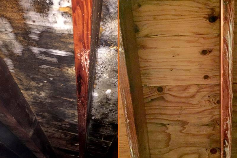 Illinois Mold Remediation American Cleaning & Restoration South