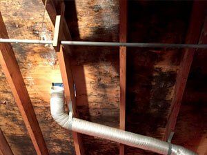 Mold Remediation Mold Remediation