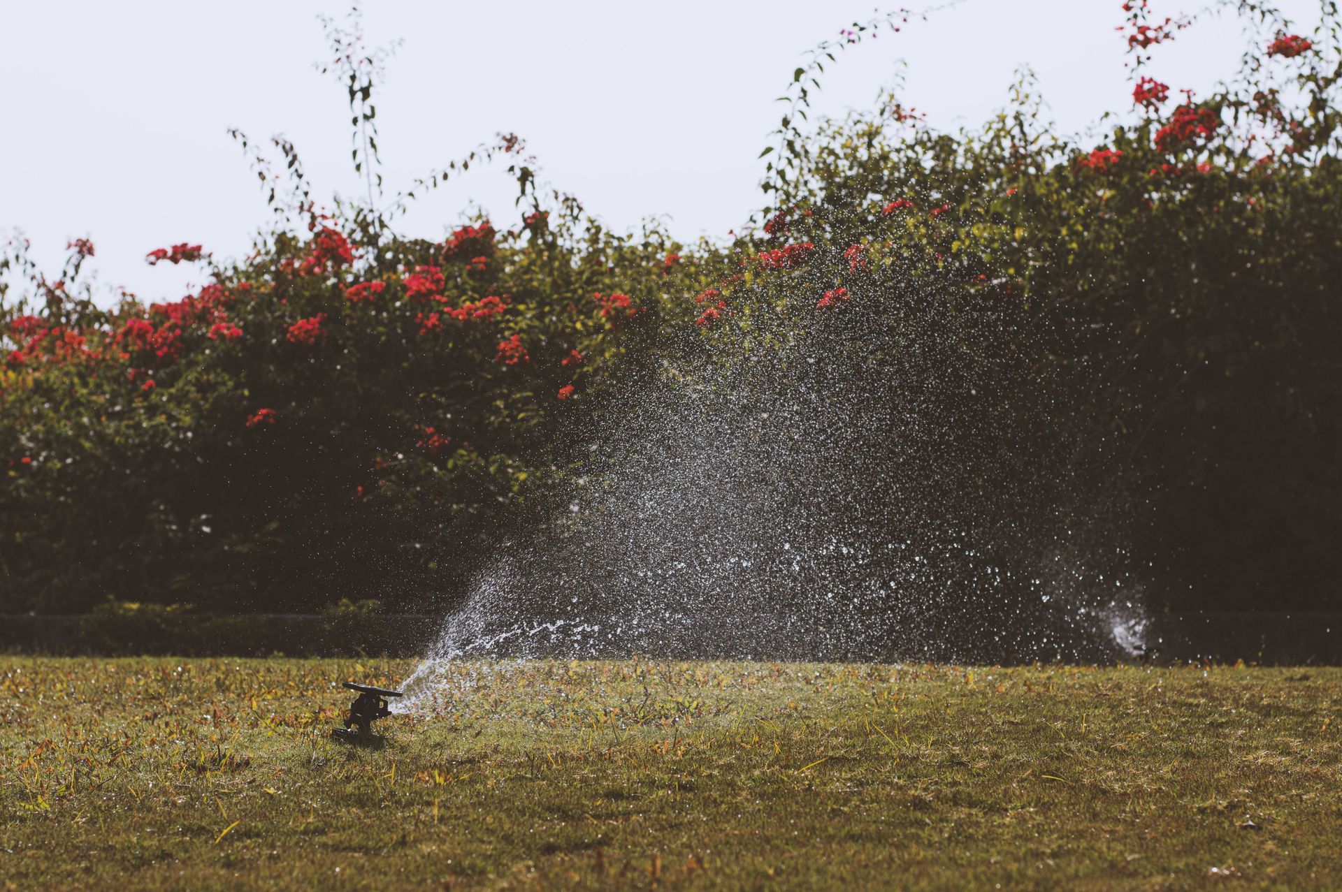 Lawn sprinkler spraying water in front of a tan building under a clear sky