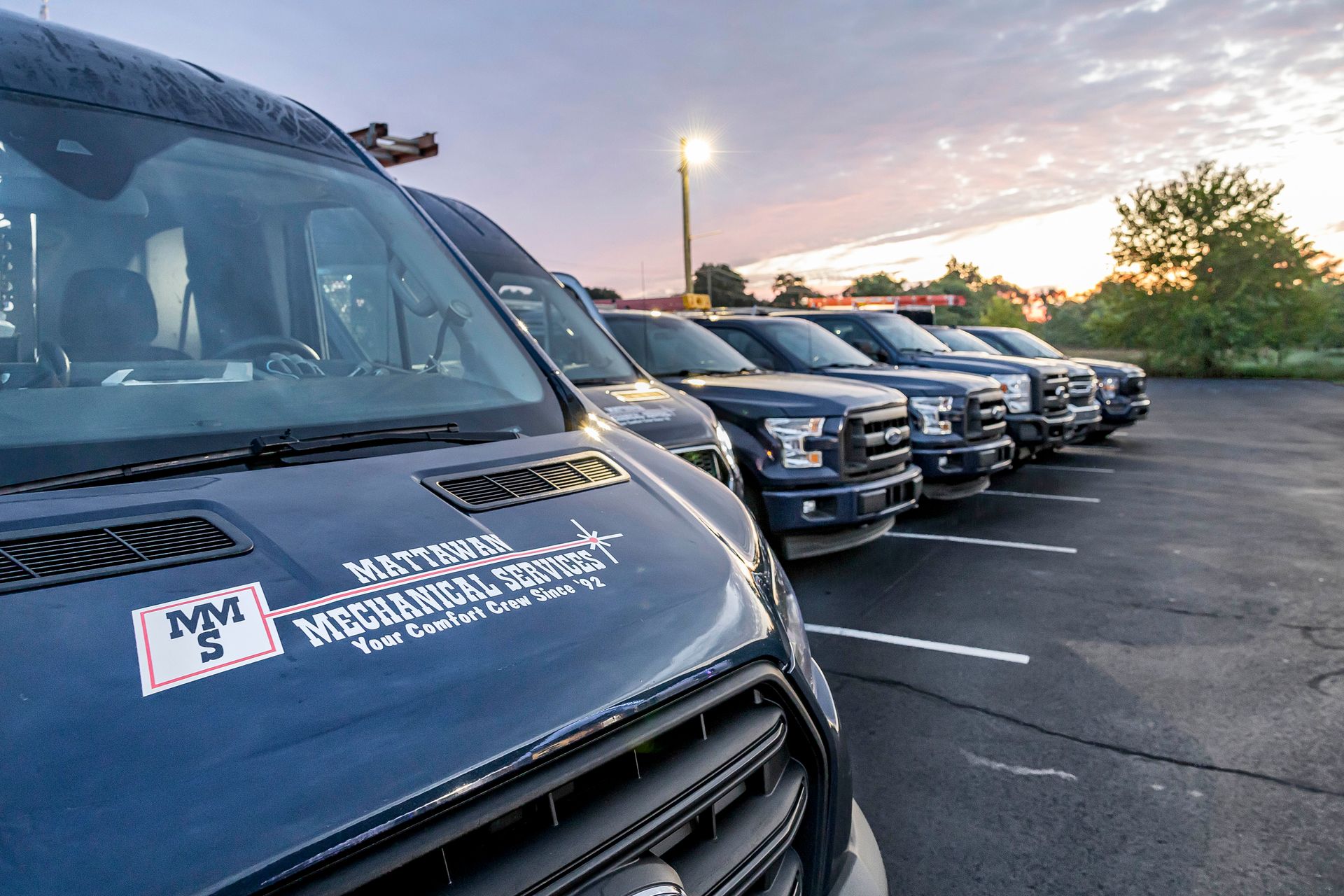 A row of ford trucks are parked in a parking lot