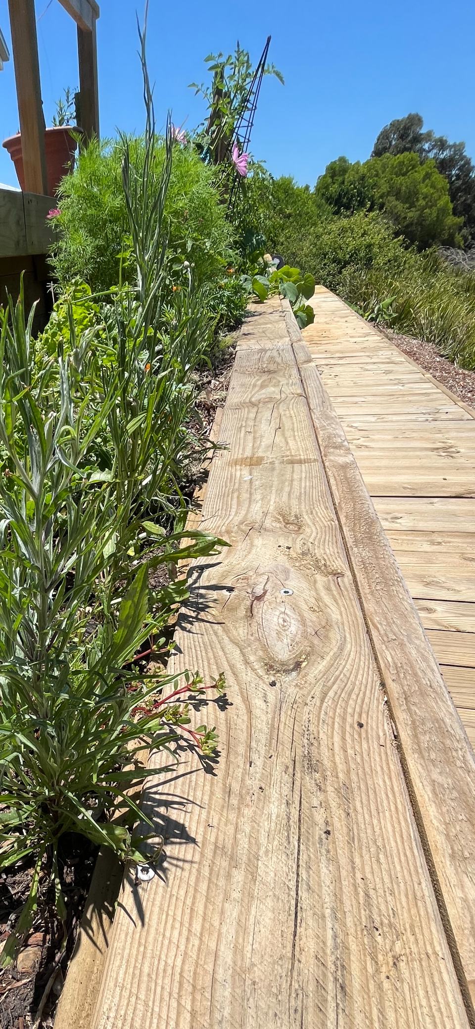 Timber garden edging — Gnomes Landscape & Garden Supplies In Taree South, NSW