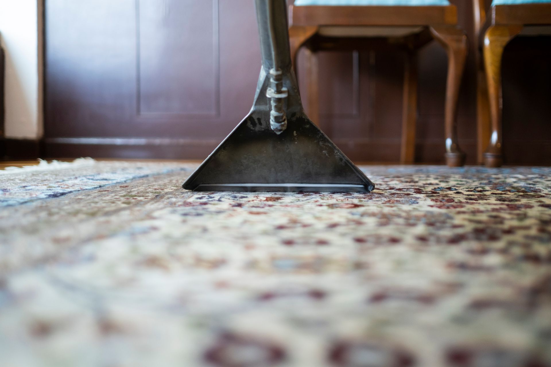 Carpet being cleaned with an extraction tool; near chairs.