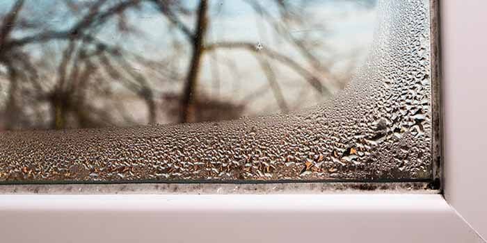 Condensation droplets covering the bottom corner of a windowpane with a blurred view of trees outside.