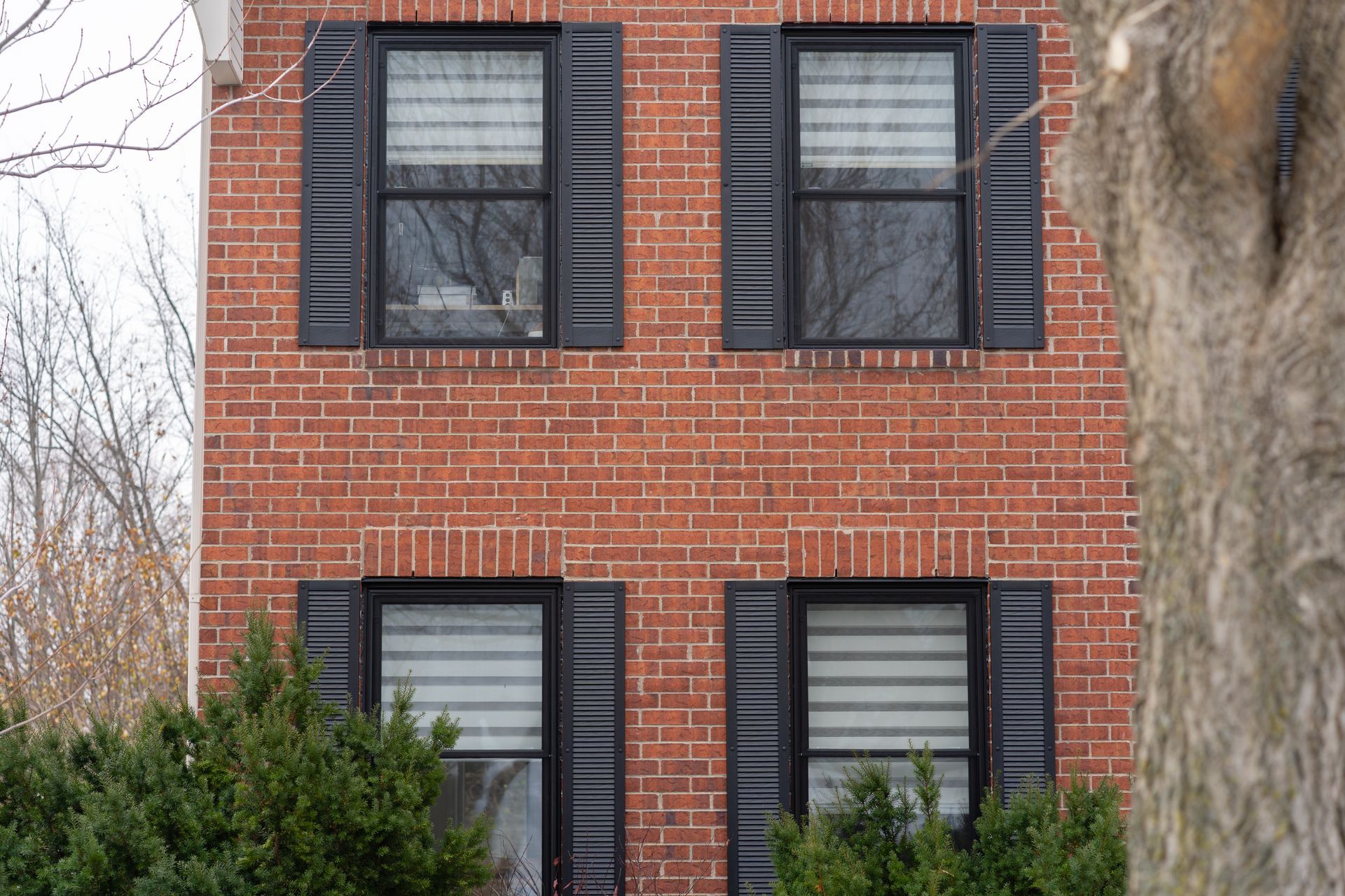 Façade de maison en briques avec quatre fenêtres, volets noirs et buissons devant