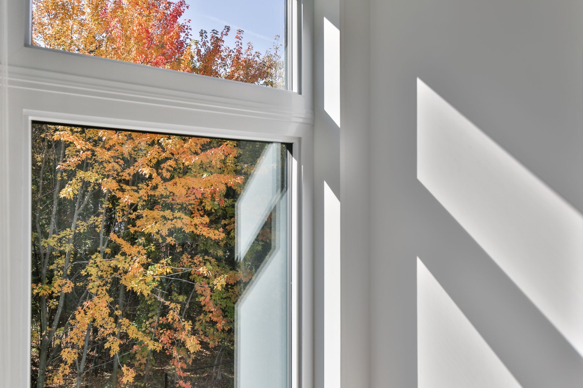 Cadre de fenêtre blanc baigné de soleil, avec un arbre d'automne visible à l'extérieur, projetant des ombres nettes sur un mur gris.