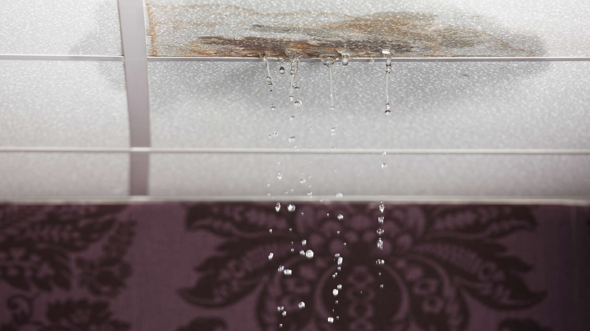 Water is dripping from the ceiling of a room