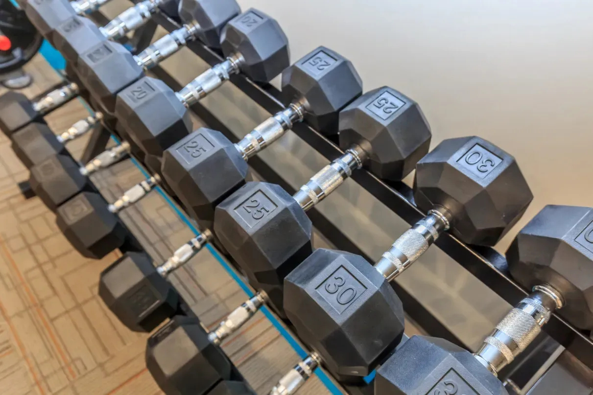 Dumbbells on rack in gym