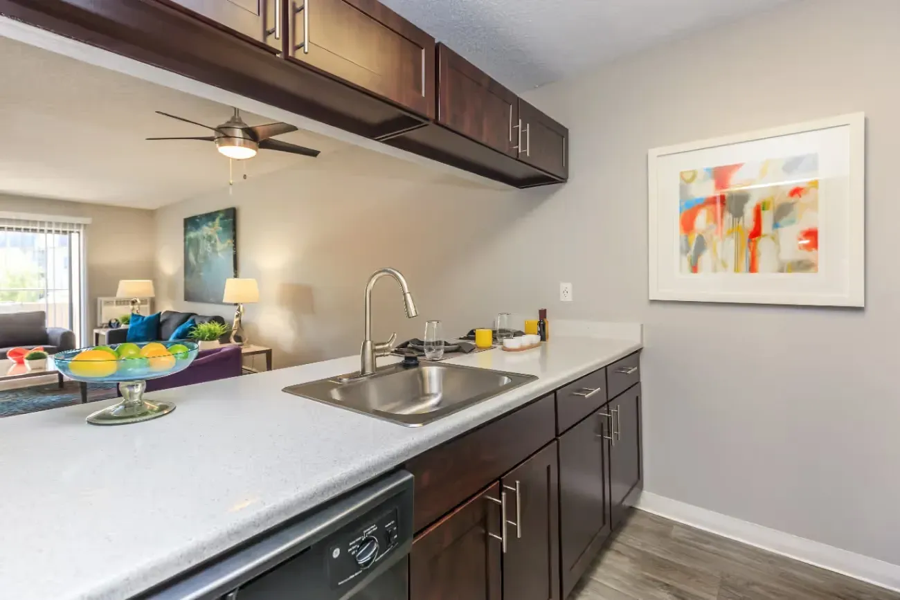 Kitchen with stainless steel sink and dark wood cabinets.