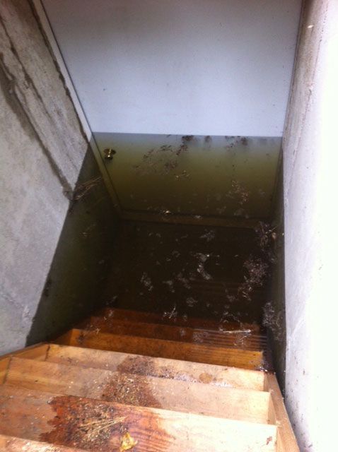 Moldy, water-damaged basement stairwell with wooden steps and stained walls