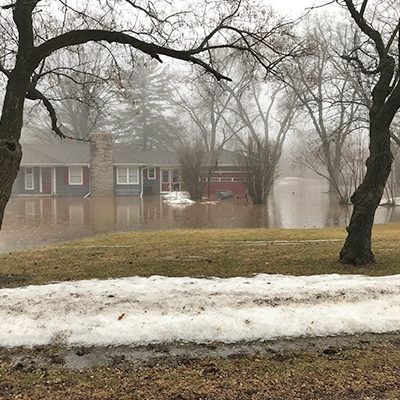 Foggy suburban street with bare trees, a brick house, and melting snow along the roadside