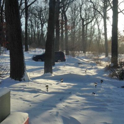 Snowy wooded path with tall trees and a dark vehicle in the distance at sunset