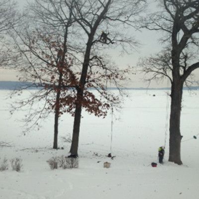 Snowy lakeshore with bare trees and a person in a bright jacket near the right tree