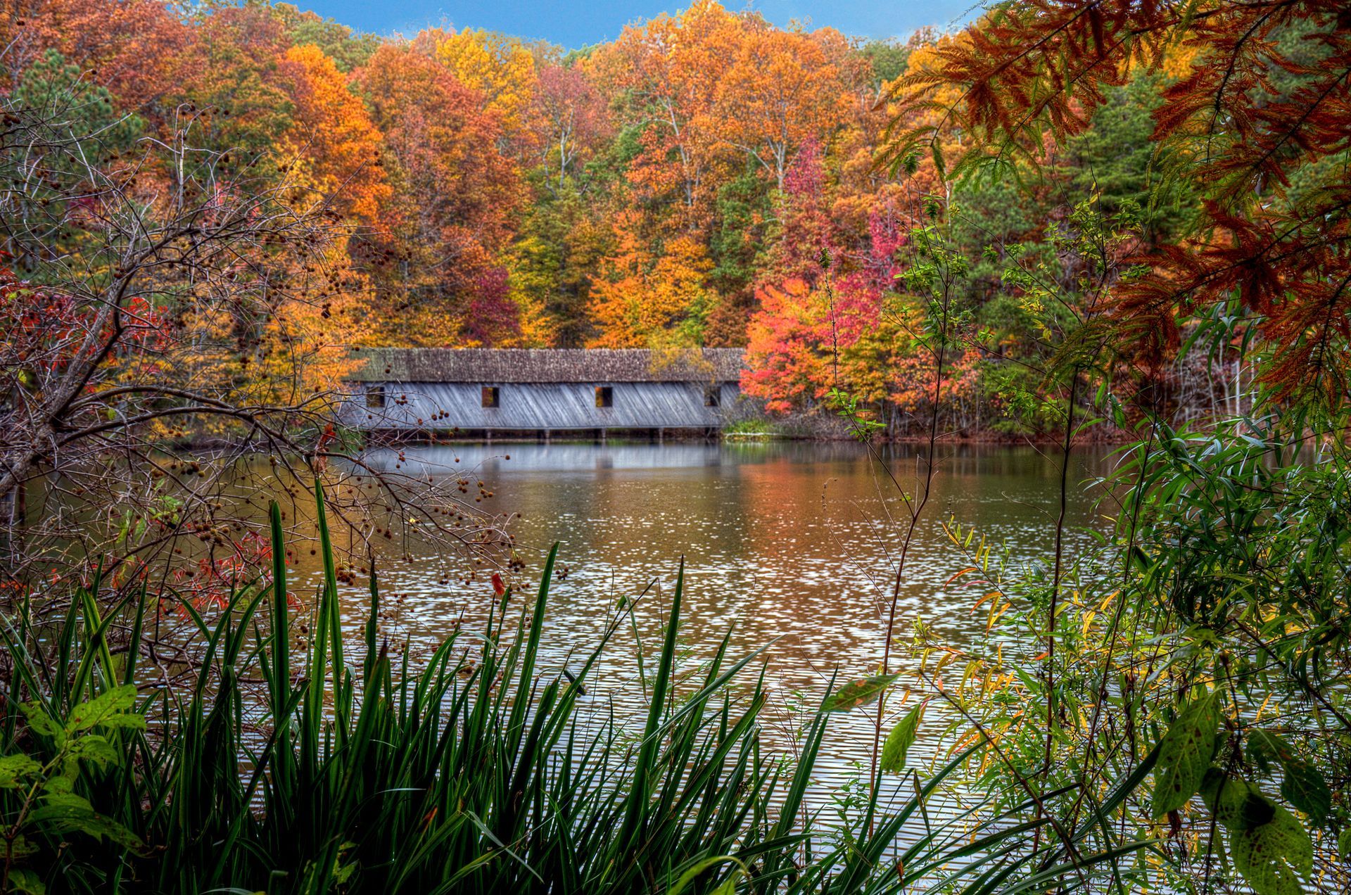 A long wooden bridge spans a calm lake surrounded by a dense forest showing vibrant autumn foliage of gold and red.