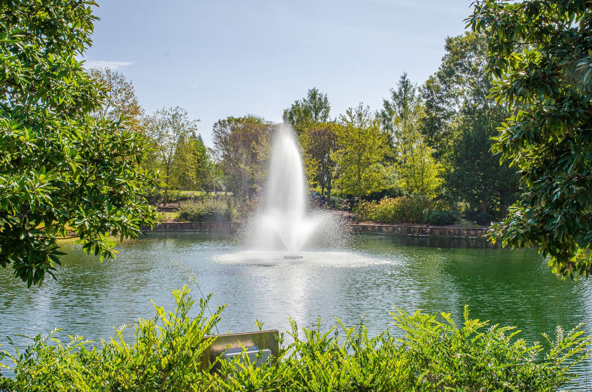 A water fountain sprays upward in the center of a calm pond, surrounded by lush green trees on a sunny day.