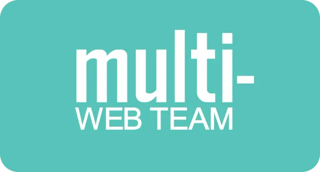 Multi Web Team