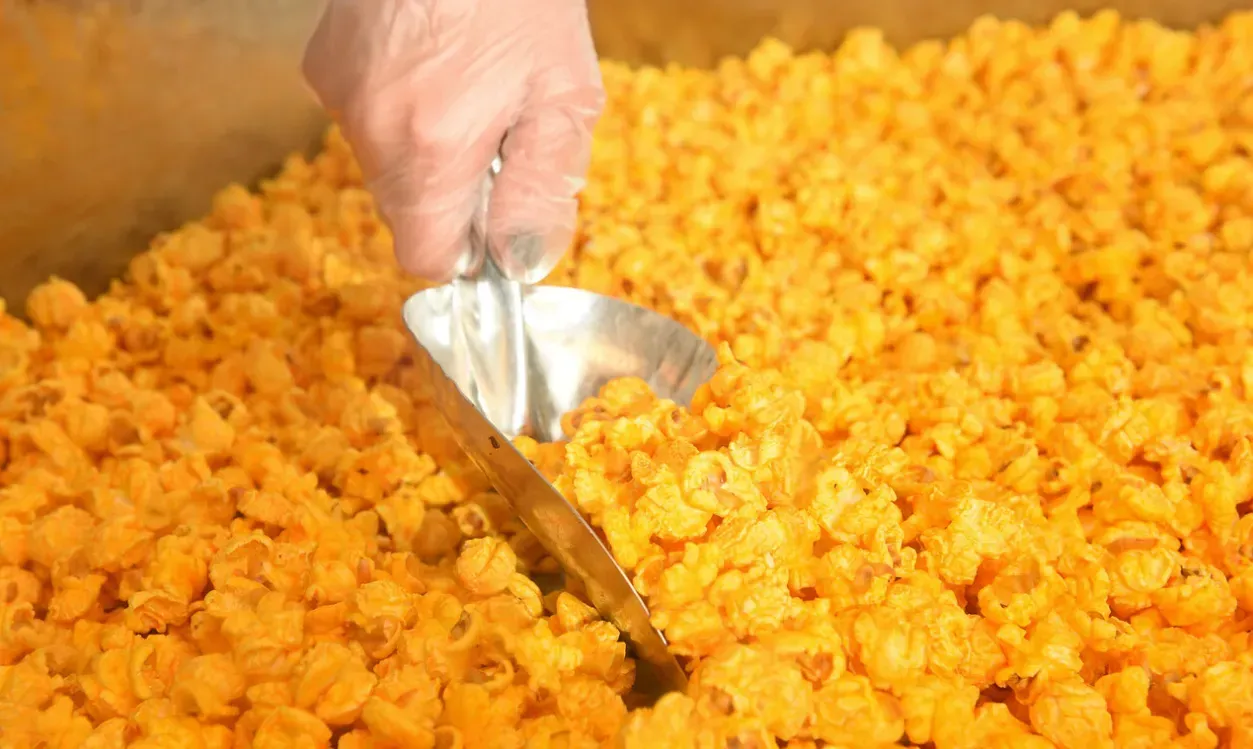 Popcorn Franchise Web Design