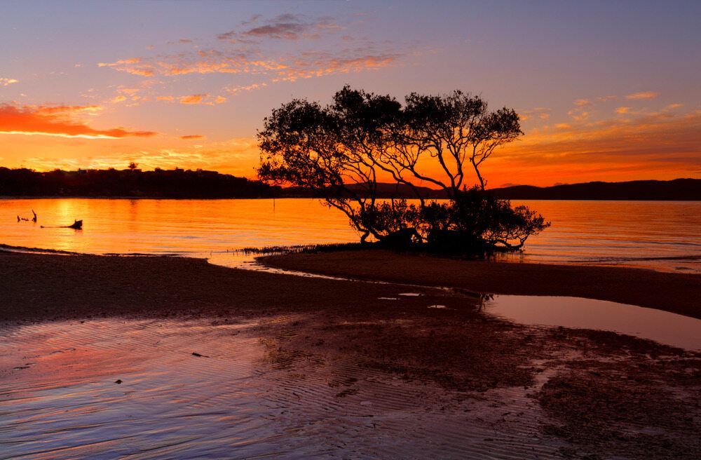 Beautiful Sunset Colours On The Tidal Flats Of Salamander Bay — Bay Area Plumbing In Salamander Bay, NSW