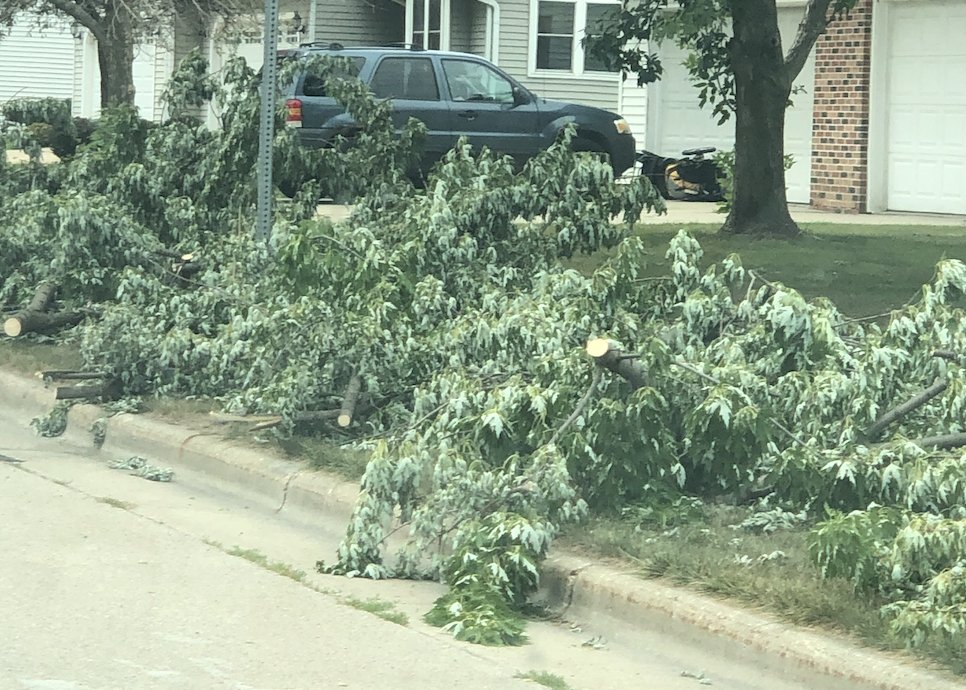 Tree Removal Madison, Wi Madison Tree Removal
