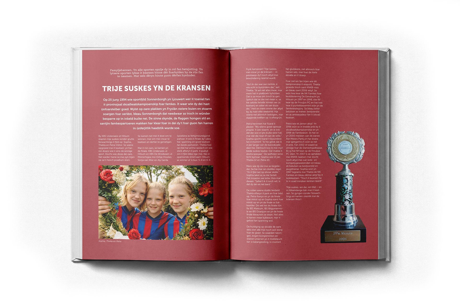 Frouljus-PC | boek