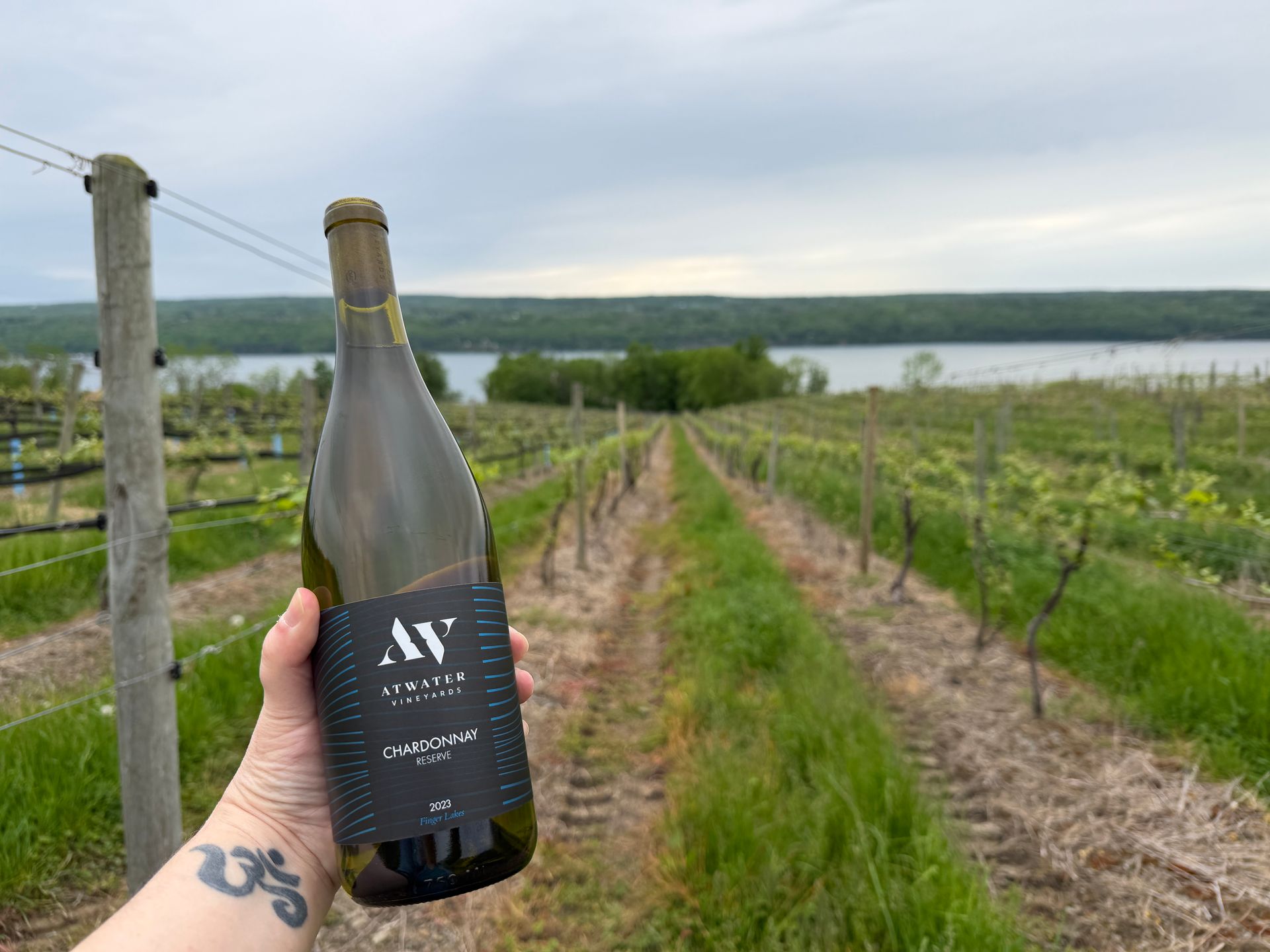 Hand holding a bottle of Chardonnay Reserve 2023 in a vineyard overlooking Senec under cloudy skies 