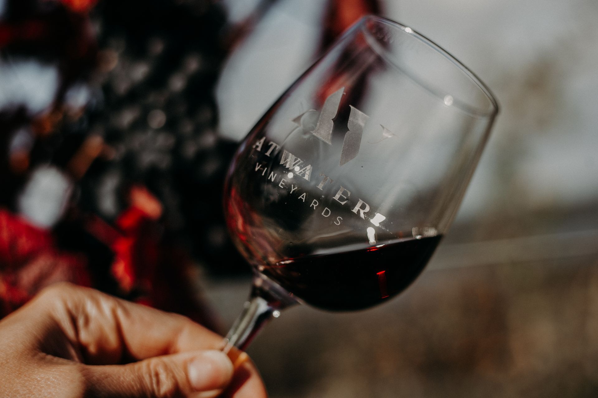 A hand holds a wine glass filled with red wine, featuring the logo 