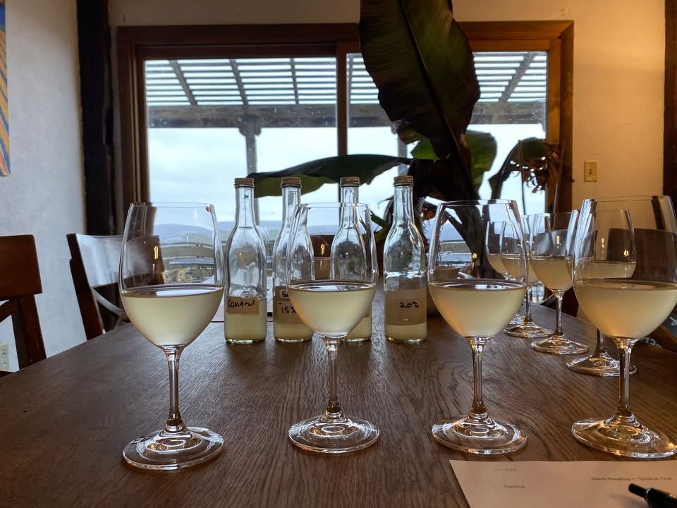 Four wine glasses filled with white wine are arranged on a wooden table in front of several wine bottles near a window.