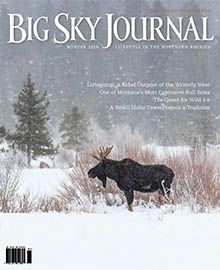 A moose is standing in the snow on the cover of a magazine.